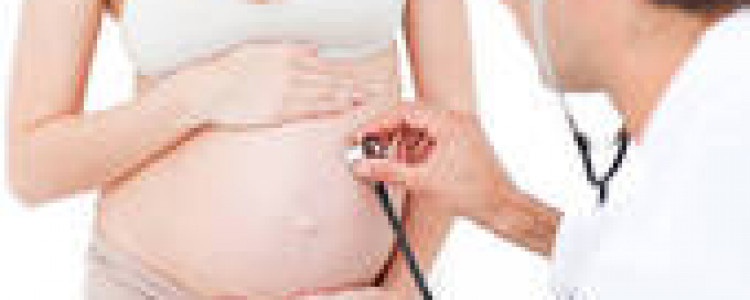 Исследование внутренних органов беременных
